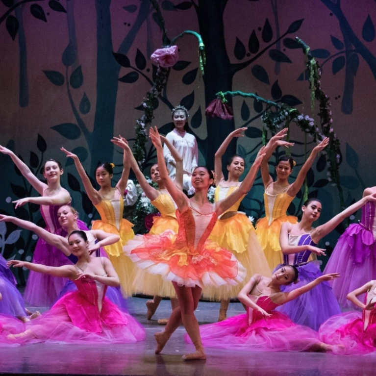 The San Jose Nutcracker San Jose